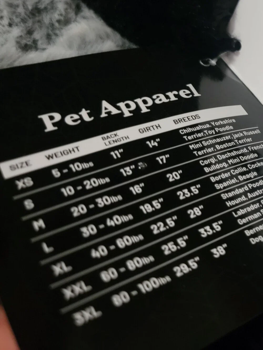 Pet Dog Or Cat Halloweem Black & Gray Spider Costume Xsmall